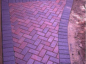 Photo 39